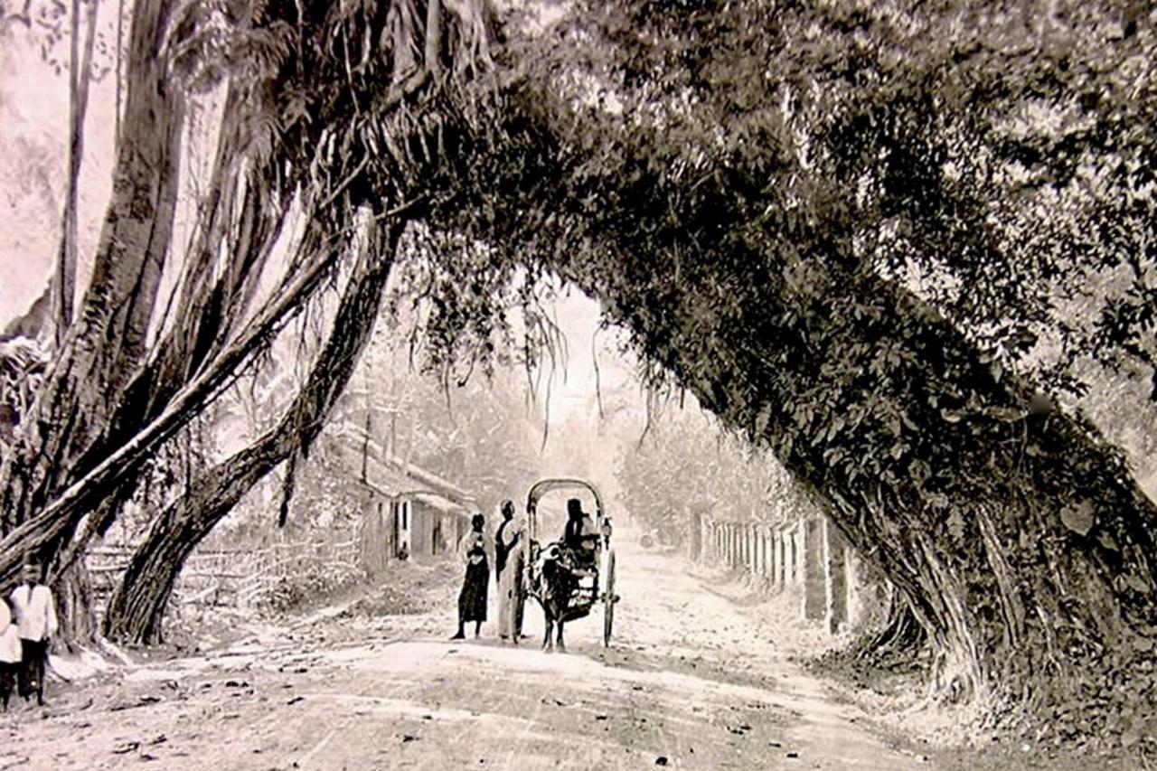 Bohemian Hotel - نيجومبو المظهر الخارجي الصورة